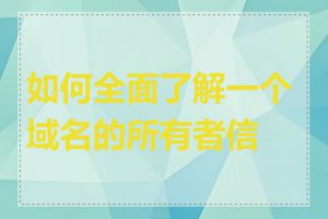 如何全面了解一个域名的所有者信息