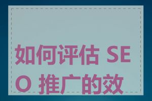 如何评估 SEO 推广的效果