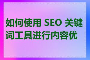 如何使用 SEO 关键词工具进行内容优化