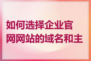 如何选择企业官网网站的域名和主机