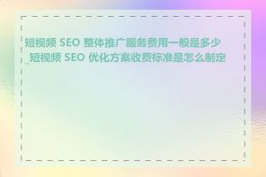 短视频 SEO 整体推广服务费用一般是多少_短视频 SEO 优化方案收费标准是怎么制定的