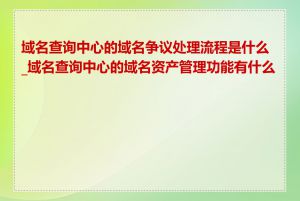 域名查询中心的域名争议处理流程是什么_域名查询中心的域名资产管理功能有什么用