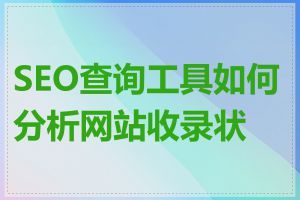 SEO查询工具如何分析网站收录状况