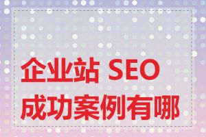 企业站 SEO 成功案例有哪些