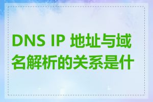 DNS IP 地址与域名解析的关系是什么