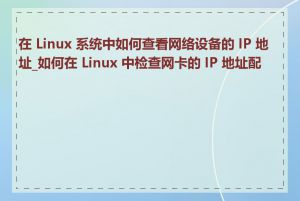 在 Linux 系统中如何查看网络设备的 IP 地址_如何在 Linux 中检查网卡的 IP 地址配置