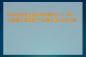 如何选择适合自己网站的有实力 SEO 关键词优惠方案_什么是 SEO 关键词优惠