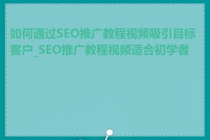 如何通过SEO推广教程视频吸引目标客户_SEO推广教程视频适合初学者吗