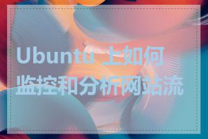 Ubuntu 上如何监控和分析网站流量