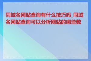 同域名网站查询有什么技巧吗_同域名网站查询可以分析网站的哪些数据