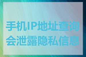 手机IP地址查询会泄露隐私信息吗