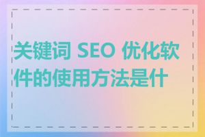 关键词 SEO 优化软件的使用方法是什么