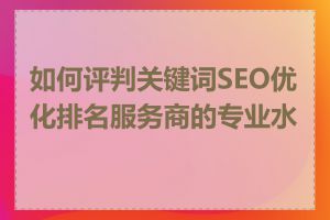 如何评判关键词SEO优化排名服务商的专业水平