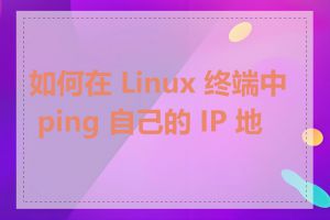 如何在 Linux 终端中 ping 自己的 IP 地址