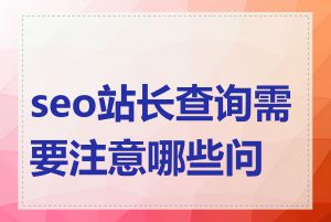 seo站长查询需要注意哪些问题