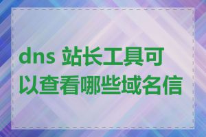 dns 站长工具可以查看哪些域名信息