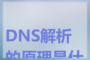 DNS解析的原理是什么