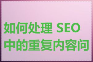 如何处理 SEO 中的重复内容问题