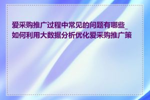 爱采购推广过程中常见的问题有哪些_如何利用大数据分析优化爱采购推广策略