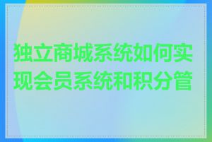 独立商城系统如何实现会员系统和积分管理