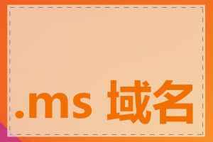 .ms 域名有什么特点