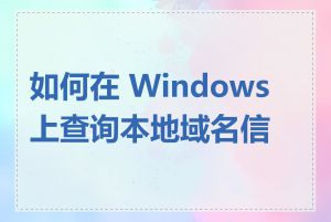 如何在 Windows 上查询本地域名信息