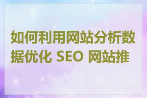 如何利用网站分析数据优化 SEO 网站推广