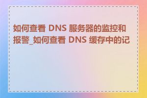 如何查看 DNS 服务器的监控和报警_如何查看 DNS 缓存中的记录