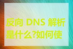 反向 DNS 解析是什么?如何使用