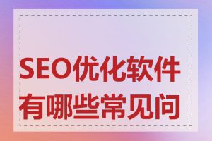 SEO优化软件有哪些常见问题