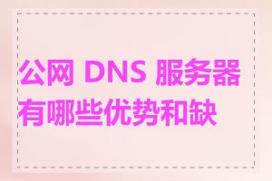 公网 DNS 服务器有哪些优势和缺点