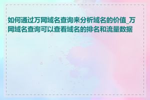 如何通过万网域名查询来分析域名的价值_万网域名查询可以查看域名的排名和流量数据吗