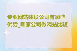 专业网站建设公司有哪些优势_哪家公司做网站比较好