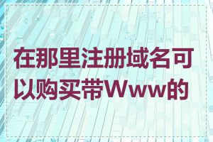 在那里注册域名可以购买带Www的吗