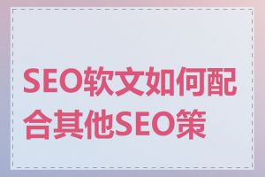 SEO软文如何配合其他SEO策略