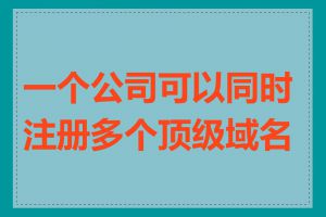 一个公司可以同时注册多个顶级域名吗