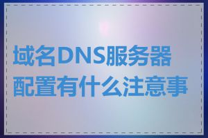 域名DNS服务器配置有什么注意事项