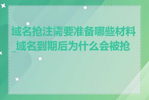 域名抢注需要准备哪些材料_域名到期后为什么会被抢注