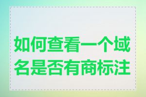 如何查看一个域名是否有商标注册