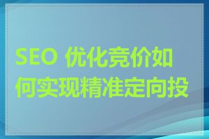 SEO 优化竞价如何实现精准定向投放