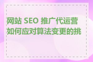 网站 SEO 推广代运营如何应对算法变更的挑战