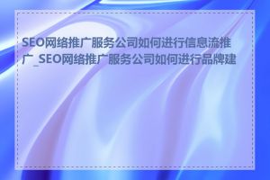 SEO网络推广服务公司如何进行信息流推广_SEO网络推广服务公司如何进行品牌建设