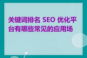 关键词排名 SEO 优化平台有哪些常见的应用场景