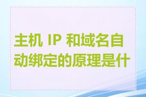 主机 IP 和域名自动绑定的原理是什么