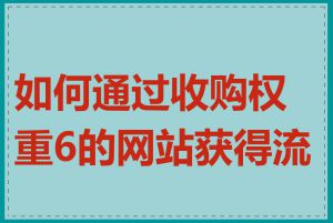 如何通过收购权重6的网站获得流量