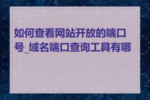 如何查看网站开放的端口号_域名端口查询工具有哪些