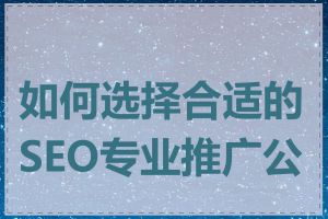 如何选择合适的SEO专业推广公司