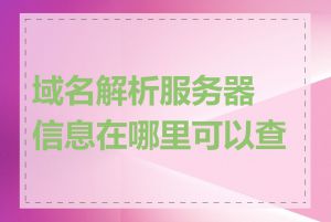 域名解析服务器信息在哪里可以查看