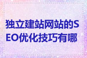 独立建站网站的SEO优化技巧有哪些