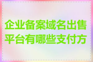 企业备案域名出售平台有哪些支付方式